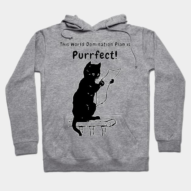 PURRFECT world domination plan - Funny Black Cat Puns Hoodie by vystudio